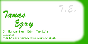 tamas egry business card